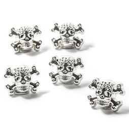 LIV-98, Teschio, calalmite da frigo con effetto brivido, set da 5