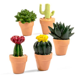 LIV-131, Cactus, magneti decorativi a forma di cactus, set da 5