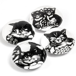 LIV-139, Cat babies, fridge magnets with cat designs, set of 4