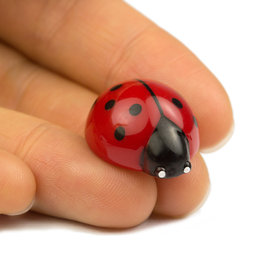 LIV-53, Coccinelle, magneti decorativi a forma di coccinelle, set da 6