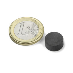 FE-S-12-05, Disco magnetico Ø 12 mm, altezza 5 mm, ferrite, Y35, senza rivestimento