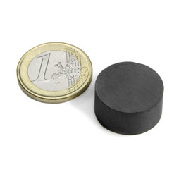 FE-S-20-10, Disco magnetico Ø 20 mm, altezza 10 mm, ferrite, Y35, senza rivestimento